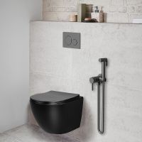 Гигиенический душ со смесителем Vincea VHFW-101GM Вороненая сталь — фото 2, Гигиенические души