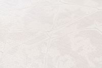 Обои Артекс Dieter Langer Inspiration 10273-01 Винил на флизелине (1,06*10,05) Белый, Абстракция — фото 2, Обои для стен