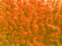 Коврик для ванной комнаты Ridder Twist Loop 55x85 7044318 Оранжевый — фото 2, Коврики для ванной комнаты