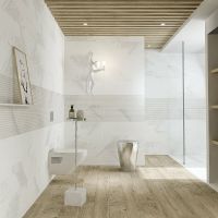 Унитаз биде Bien Ion IOKA050N2VP1W5000 подвесной с сиденьем Микролифт — фото 3, Унитазы