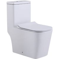 Унитаз моноблок SantiLine SL-5024 с бачком и сиденьем Микролифт — фото 1, Унитазы