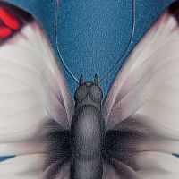 Обои Andrea Rossi Cheradi 54401-8 Винил на флизелине (1,06*10,05) Синий, Бабочки — фото 2, Обои для стен