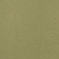 Товар: Обои Bernardo Bartalucci Legend 5068-47 Флизелин (1,06*10) Зеленый, Однотонные - фото 1 Обои Bernardo Bartalucci Legend 5068-47 Флизелин (1,06*10) Зеленый, Однотонные — фото 1, Обои для стен