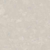 Пробковое покрытие Amorim Wise Cork Pure  AJ4H003 Personality Moonlight 600х300х6 мм — фото 1, Пробковые покрытия