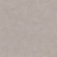 Обои LOYMINA Golden Library Винил на флизелине (1*10,05) Серый/Бежевый, Штукатурка арт-TD7 022 — фото 1, Обои для стен