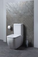 Товар: Унитаз компакт Allen Brau Infinity 4.21001.20 Белый без бачка и сиденья - фото 17 Унитаз компакт Allen Brau Infinity 4.21001.20 Белый без бачка и сиденья — фото 17, Напольные унитазы