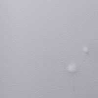 Обои Andrea Rossi Gavi 54368-5 Винил на флизелине (1,06*10) Серый, Листья/Цветы — фото 1, Обои для стен