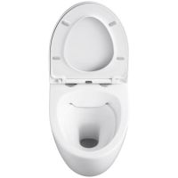 Товар: Унитаз Black&White Universe W-751 751w00 подвесной с сиденьем Микролифт - фото 6 Унитаз Black&White Universe W-751 751w00 подвесной с сиденьем Микролифт — фото 6, Унитазы