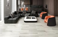 Виниловый ламинат FloorAge Forest 1238 Беорн 1220х184х4 мм — фото 2, Виниловый ламинат