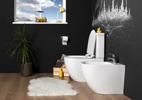 Товар: Чаша унитаза-компакта Aquanet Cetus C1 Rimless 00203342 без бачка, с сиденьем Микролифт - фото 7 Чаша унитаза-компакта Aquanet Cetus C1 Rimless 00203342 без бачка, с сиденьем Микролифт — фото 7, Унитазы