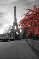 Товар: Фреска Ortograf Париж 4779 Фактура бархат FX Флизелин (1,8*2,7) Серый/Розовый, Город/Цветы - фото 2 Фреска Ortograf Париж 4779 Фактура бархат FX Флизелин (1,8*2,7) Серый/Розовый, Город/Цветы — фото 2, Фрески