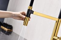 Смеситель для кухни Paulmark Leader Le214101-BG Брашированное золото — фото 12, Смесители для кухни