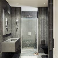 Душевая дверь Maybah Glass MGD-447-5 800x1980 на монопетле Хром матовый стекло прозрачное — фото 2, Душевые двери в нишу