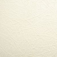 Обои Marburg Patent Decor 9314 Винил на флизелине (1,06*25) Белый, Штукатурка — фото 1, Обои для стен