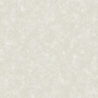 Обои Bruno Zoff Platinum 60104-5 Фольга на флизелине (1,06*10,05) Серый, Штукатурка — фото 1, Обои для стен