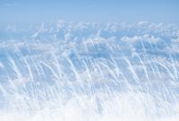 Фреска Ortograf Relax 34258 Фактура бархат FX Флизелин (4*2,7) Голубой, Небо — фото 2, Фрески