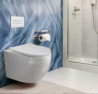 Товар: Унитаз Ceruttispa Orlter Aria PP CT10571 подвесной с сиденьем Микролифт - фото 3 Унитаз Ceruttispa Orlter Aria PP CT10571 подвесной с сиденьем Микролифт — фото 3, Подвесные унитазы