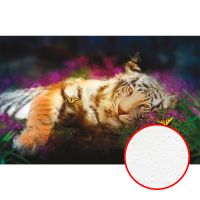 Фреска Ortograf Животные 7002 Фактура бархат FX Флизелин (4,2*2,7) Разноцветный, Животные/Бабочки арт-7002 (бархат FX) — фото 1, Фрески