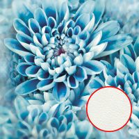 Фреска Ortograf Цветы 33041 Фактура флок FLK Флизелин (2,7*2,7) Голубой, Цветы — фото 1, Фрески