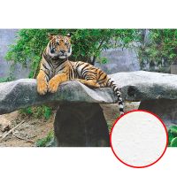 Фреска Ortograf Животные 3085 Фактура бархат FX Флизелин (2,7*1,8) Разноцветный, Животные/Пейзаж арт-3085 (бархат FX) — фото 1, Фрески