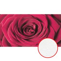 Фреска Ortograf Цветы 3610 Фактура бархат FX Флизелин (3*1,6) Красный, Цветы — фото 1, Фрески