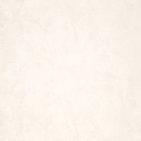 Обои Fipar Modelli Magici R 11170 Винил на флизелине (1,06*10,05) Белый/Бежевый, Штукатурка — фото 1, Обои для стен