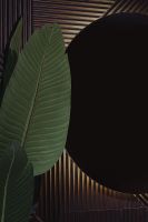 Товар: Зеркало Silver Mirrors Savanna-RGB 77 LED-00002604 с подсветкой со Smart-управлением и диммером - фото 3 Зеркало Silver Mirrors Savanna-RGB 77 LED-00002604 с подсветкой со Smart-управлением и диммером — фото 3, Зеркала в ванную комнату