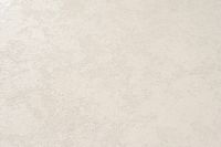 Обои Артекс The Best 2 10612-05 Винил на флизелине (1,06*10,05) Бежевый, Штукатурка — фото 2, Обои для стен