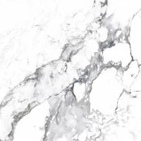 Керамогранит Arcadia Ceramica Borghini silver CR4006-A 60х60 см — фото 1, Керамогранит