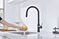 Смеситель для кухни Paulmark Galant Ga213077-AN Антрацит — фото 14, Смесители для кухни