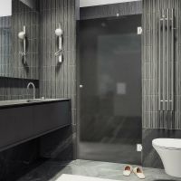 Душевая дверь Maybah Glass MGD-524-4 805x1950 на петлях Хром глянцевый стекло графитовое матовое — фото 1, Душевые двери в нишу