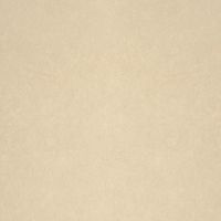 Обои Bernardo Bartalucci Legend Флизелин (1,06*10) Бежевый, Однотонные арт-5068-22 — фото 2, Обои