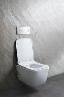 Унитаз биде Allen Brau Liberty 2 4.33009.20 подвесной Белый без сиденья — фото 28, Подвесные унитазы