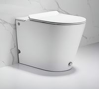 Унитаз Ceruttispa Argentera Pulse CT7267 с импульсным смывом приставной с сиденьем Микролифт — фото 3, Приставные унитазы