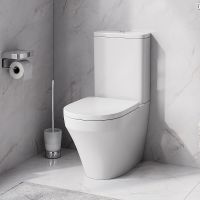 Унитаз компакт AM.PM Inspire CK50C1704W с гигиеническим душем и ершиком с бачком и сиденьем Микролифт — фото 16, Напольные унитазы