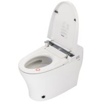 Товар: Унитаз биде Panasonic CH2720 приставной с сиденьем Микролифт - фото 3 Унитаз биде Panasonic CH2720 приставной с сиденьем Микролифт — фото 3, Унитазы