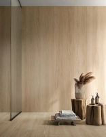 Керамогранит Mirage Oudh SP SQ 0U03 20х120 см — фото 2, Керамогранит