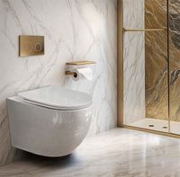 Товар: Унитаз Ceruttispa Orlter Aria PP CT10571 подвесной с сиденьем Микролифт - фото 2 Унитаз Ceruttispa Orlter Aria PP CT10571 подвесной с сиденьем Микролифт — фото 2, Подвесные унитазы