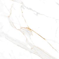 Керамогранит Absolut Gres Regal Carrara  AB 1002G 60x60 см — фото 1, Керамогранит