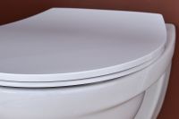 Товар: Комплект унитаза с инсталляцией Jacob Delafon Patio E21740RU-00 с сиденьем Микролифт и клавишей смыва Хром - фото 13 Комплект унитаза с инсталляцией Jacob Delafon Patio E21740RU-00 с сиденьем Микролифт и клавишей смыва Хром — фото 13, Комплекты унитаз + инсталляция