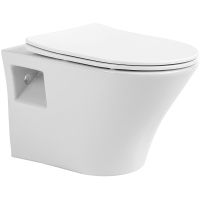 Унитаз Sintesi Rink SIN-TS-RNK-161 подвесной Белый с сиденьем Микролифт — фото 1, Подвесные унитазы