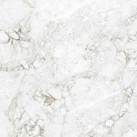 Керамогранит Absolut Gres Rossalia Natural AB1208G 60х60 см — фото 1, Керамогранит