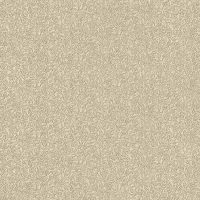 Обои Decori-Decori Mirabilia 83461 Винил на флизелине (1,06*10,05) Белый, Штукатурка/Однотонные — фото 1, Обои для стен