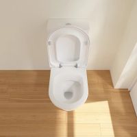 Унитаз компакт Villeroy&Boch Hommage 666210R1 без бачка и сиденья — фото 6, Напольные унитазы