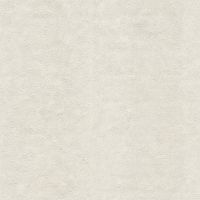 Обои Emiliana Parati Materica 2 73128 Винил на флизелине (1,06*10,05) Белый/Бежевый, Штукатурка — фото 1, Обои для стен