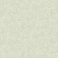 Обои Bernardo Bartalucci Bigi Флизелин (1,06*10) Зеленый, Штукатурка арт-5067-36 — фото 1, Обои для стен