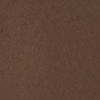 Обои Bernardo Bartalucci Legend 5068-15 Флизелин (1,06*10) Коричневый, Однотонные — фото 1, Обои для стен