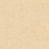 Товар: Обои Caselio Beton 2 101481674 Винил на флизелине (0,53*10,05) Бежевый, Штукатурка - фото 1 Обои Caselio Beton 2 101481674 Винил на флизелине (0,53*10,05) Бежевый, Штукатурка — фото 1, Обои для стен