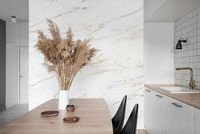 Товар: Керамогранит Prime Ceramics Callacata Amber 60x60 см - фото 2 Керамогранит Prime Ceramics Callacata Amber 60x60 см — фото 2, Керамогранит