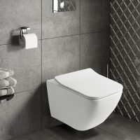 Унитаз Olive's Artis AR30116DP подвесной с сиденьем Микролифт — фото 2, Подвесные унитазы